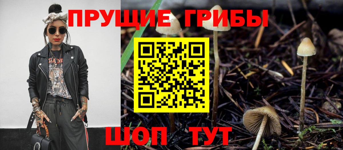где найти наркотики  Вход с VPN  Карасук  Галлюциногенные грибы прущие грибы 