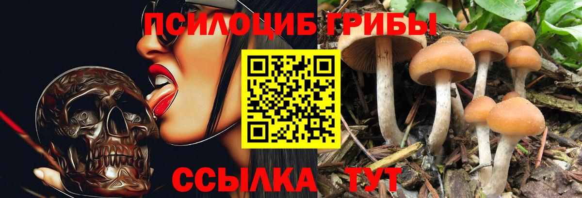 Галлюциногенные грибы GOLDEN TEACHER Карасук